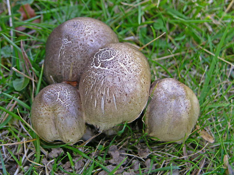 Ritrovamenti  del 21 marzo.